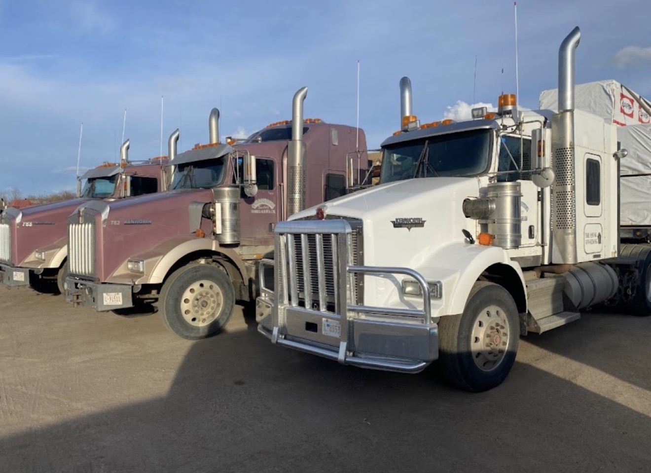 Three J & M Randhawa Kenworth tractors parked in the yard
